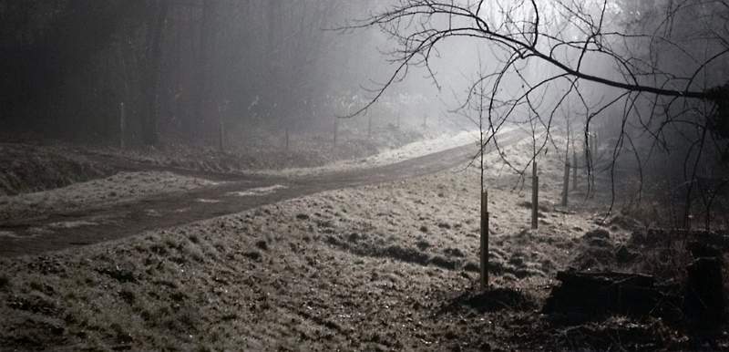 Frosty Morning Light - Christine Hart.jpg